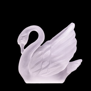 Swan