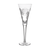 Snowflake Wishes ‘2015 Health’ Champagne Flute