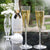 Dom Perignon Wedding Toasting Flute